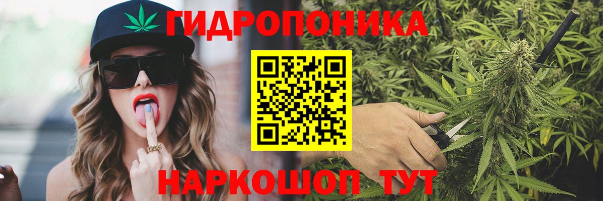МАРИХУАНА сатива Михайловка
